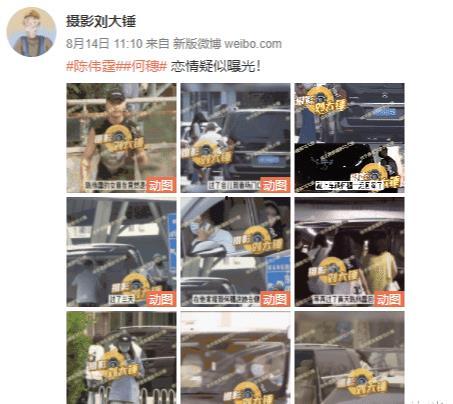 吃瓜爆料陈都灵,吃瓜爆料背后的真相与争议